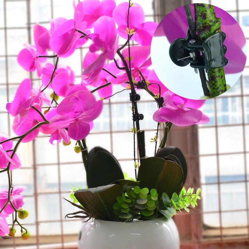 baotongle 100 pcs Plant Clips, Orchid Clips Plant Orchid Support Clips Flower and Vine Clips for Supporting Stems Vines Grow Upright Dark Green - Image 3