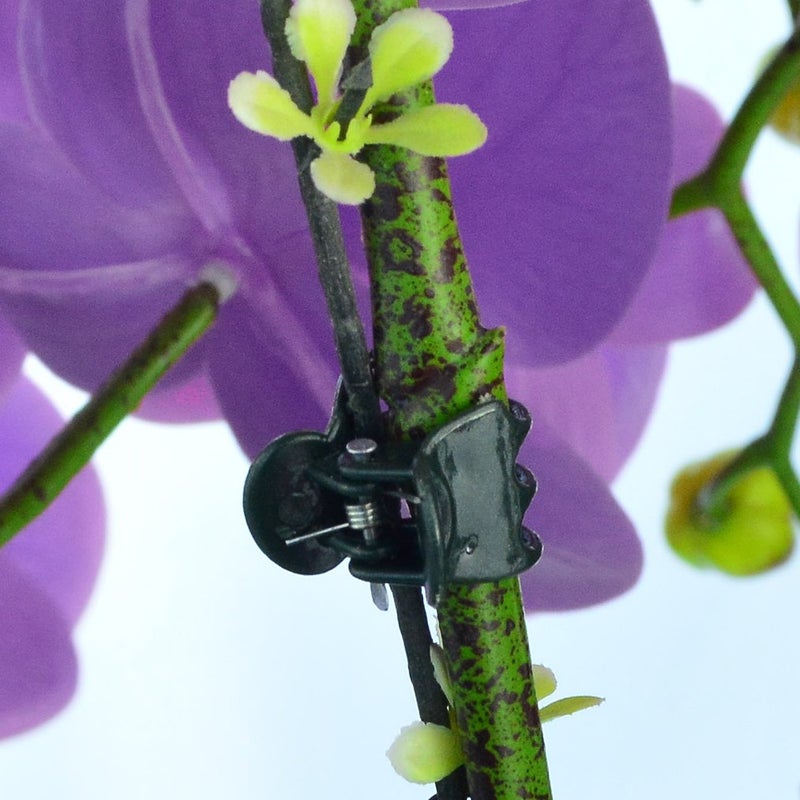 baotongle 100 pcs Plant Clips, Orchid Clips Plant Orchid Support Clips Flower and Vine Clips for Supporting Stems Vines Grow Upright Dark Green - Image 5