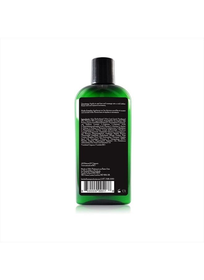 Brickell Men's Products - Daily Strengthening Shampoo for Men, Natural and Organic Featuring Mint and Tea Tree Oil To Soothe Dry and Itchy Scalp, Sulfate Free and Paraben Free, 8 Ounce, Scented - Image 1