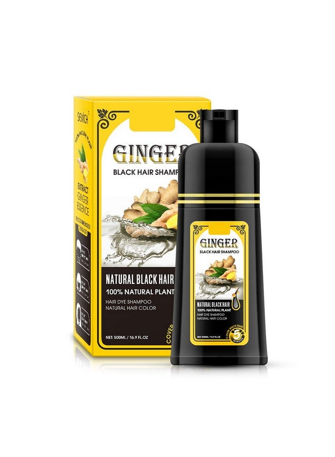 gowwim Ginger Black Semi-Permanent Hair Dye Shampoo, Instant 30-Day Color Matter, Completes in 5 Minutes - 500ml (Ginger Fragrance) - Image 1