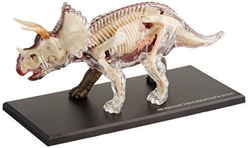 TEDCO Famemaster 4D Vision Triceratops Anatomy Model - Image 2