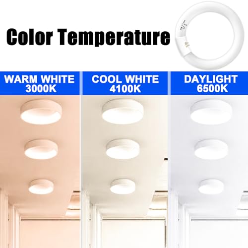 Celiwace FC8T9/CW 22W and FC12T9/CW 32W Cool White Set, 8 inch T9 22 Watts Circular Light Bulbs, 12 inch 32 Watts Circline Fluorescent Bulb Round Ring Bulb CRI 80, G10q Prong - Image 4