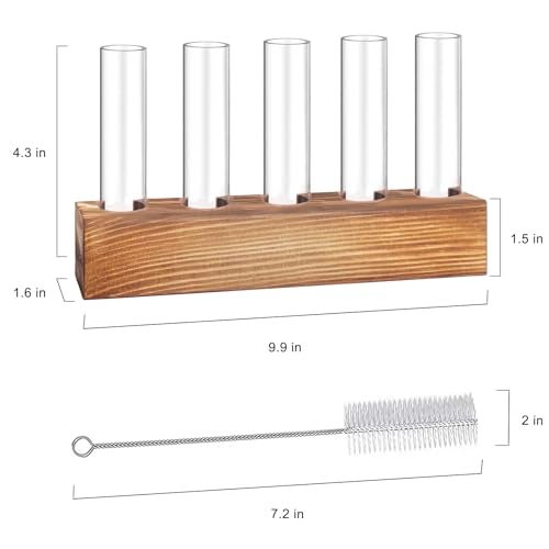 Renmxj Plant Propagation Station, Plant Terrarium with Wooden Stand for Hydroponics Plants Office Decor Unique Gardening Gifts for Women Plants Lovers - 10 Glass Test Tube Vases - Image 2