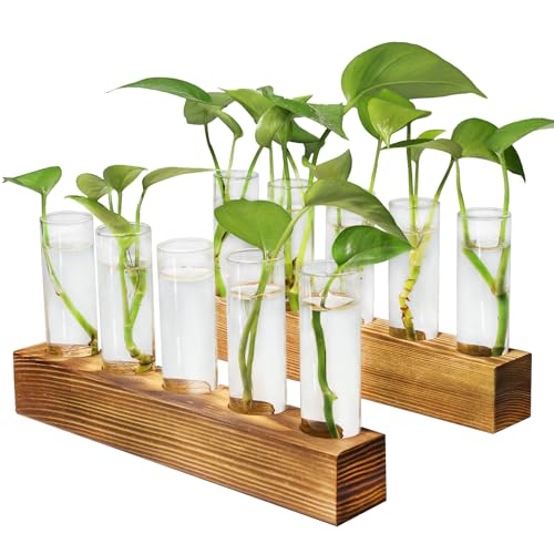 Renmxj Plant Propagation Station, Plant Terrarium with Wooden Stand for Hydroponics Plants Office Decor Unique Gardening Gifts for Women Plants Lovers - 10 Glass Test Tube Vases - Image 1
