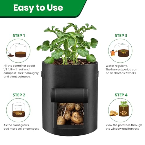 BIJOKETTEN 6 Pack Potato Grow Bags, 10 Gallon Planting Bags Large Fabric Pots with Flap Window Vegetable Planter Garden Pot Tall Potato Growing Containers with Handles for Vegetables, Fruits and More, Black - Image 4