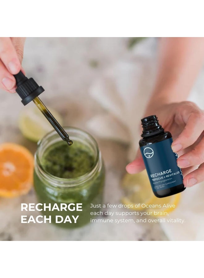 activation Oceans Alive Pure Phytoplankton- Think + Energy- Ultimate Superfood- Like Rocket Fuel for Your Cells Contaminate Free, 30ml - Image 4