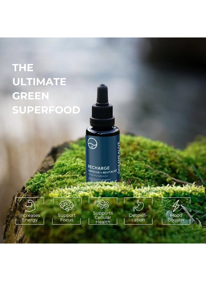 activation Oceans Alive Pure Phytoplankton- Think + Energy- Ultimate Superfood- Like Rocket Fuel for Your Cells Contaminate Free, 30ml - Image 5
