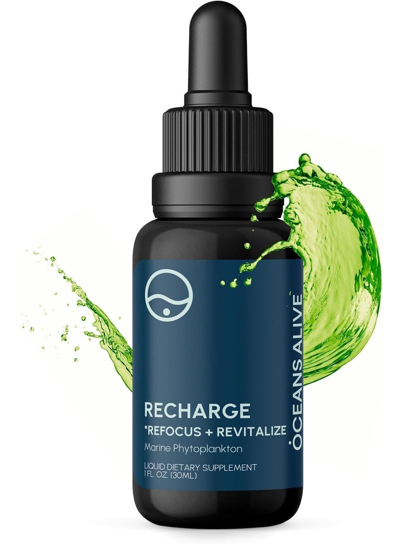 activation Oceans Alive Pure Phytoplankton- Think + Energy- Ultimate Superfood- Like Rocket Fuel for Your Cells Contaminate Free, 30ml - Image 1