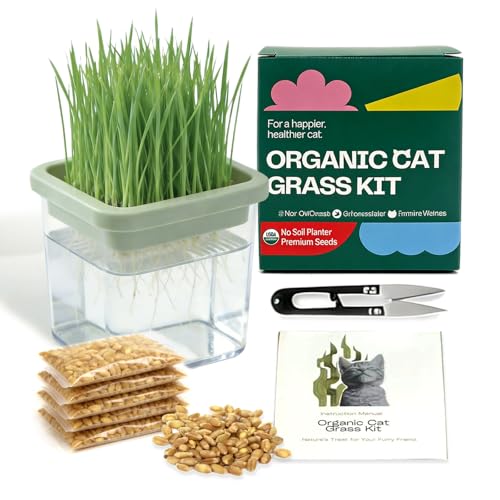 LYKOCLEAN Hydroponic Cat Grass Kit with 5 Pack Non GMO Seeds & Scissors - Cat Grass for Indoor Cats, Helps Cat with Hairballs & Digestion, Easy 3-Step Setup,Gifts for Cat Lovers (Food-Safe PP&AS, 7-Day Growth) - Image 1