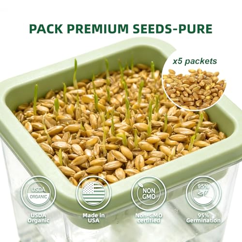 LYKOCLEAN Hydroponic Cat Grass Kit with 5 Pack Non GMO Seeds & Scissors - Cat Grass for Indoor Cats, Helps Cat with Hairballs & Digestion, Easy 3-Step Setup,Gifts for Cat Lovers (Food-Safe PP&AS, 7-Day Growth) - Image 3