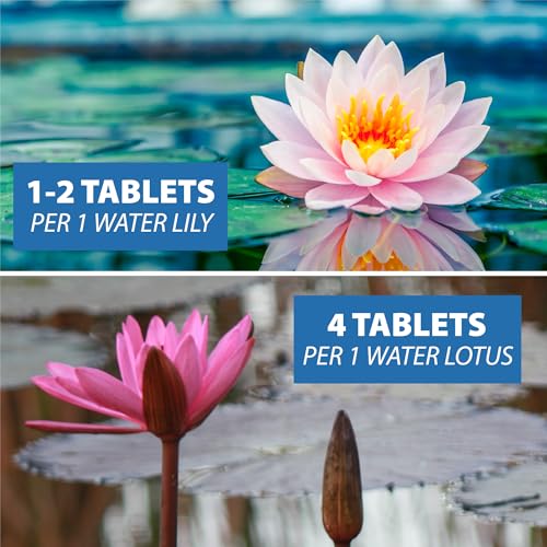 Crystal Clear CrystalClear Thrive Aquatic Pond Plant Food, Fish Safe Water Garden Fertilizer, Nutrients Boost Lily & Lotus Flower Bloom & Root Growth, 30 Tablets - Image 4