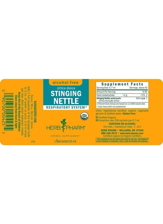 HERB PHARM Alcohol-Free Stinging Nettle Glycerite - 1 Ounce  - Image 2