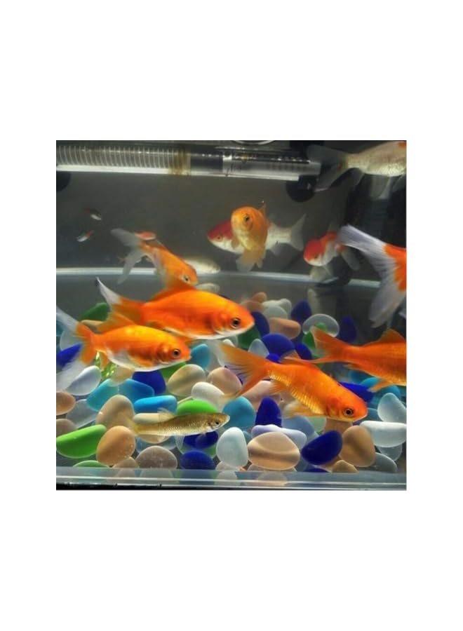 The Bros Colorful small stones mixed with transparent glass beads for hydroponic fish tank decoration and landscaping(60 per pack) - Image 3