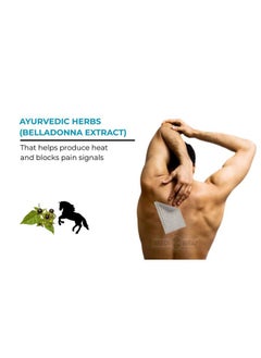 MEDIWRAP Ayurvedic Belladonna Pain Relief (20 Plasters)  - Image 3