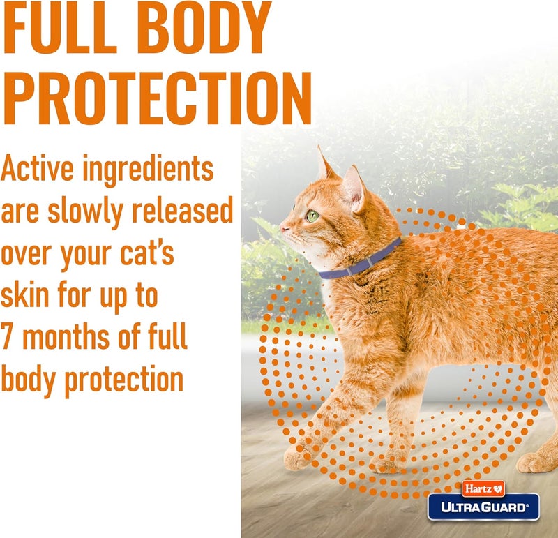 Hartz UltraGuard Flea & Tick Collar for Cats and Kittens, 7 Month Flea and Tick Protection and Prevention, White - Image 4