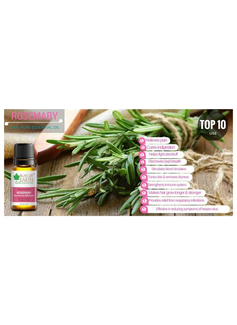 BLISS OF EARTH - ROSEMARY Essential Oil 100% Pure & Natural therapeutic Grade ideal for Aromatherapy 10ml Pack of 2 - Image 1