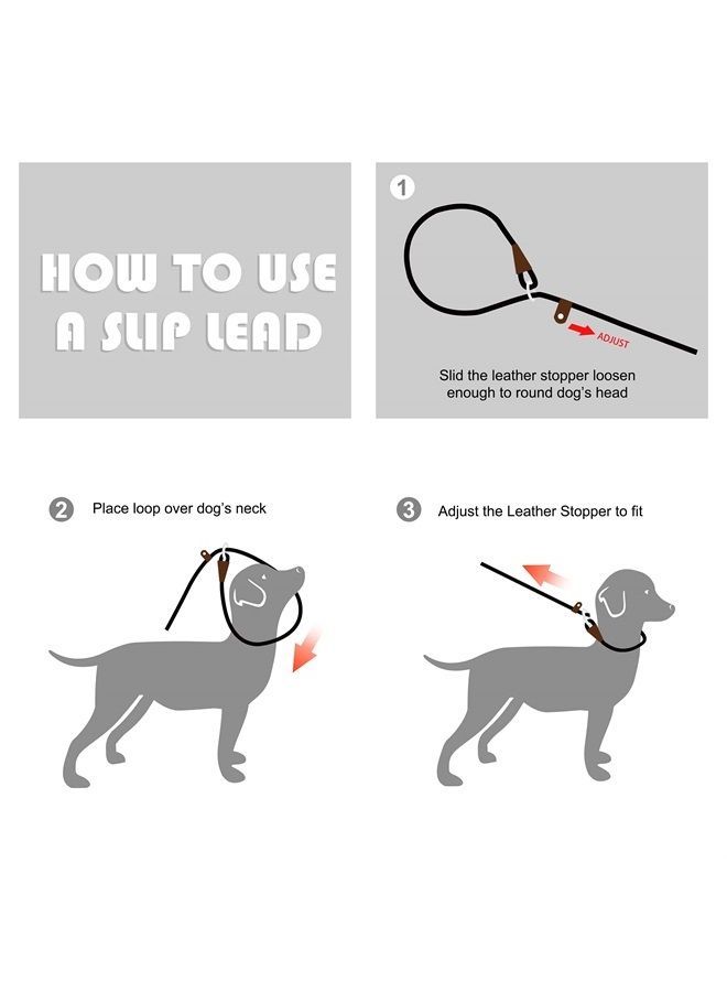 Durable Slip Lead , 6 FT x 1/2" Heavy Duty Loop Leash, Comfortable Strong Rope Leash for Large, Medium Dogs, No Pull Pet Training Leash with Highly Reflective, Green