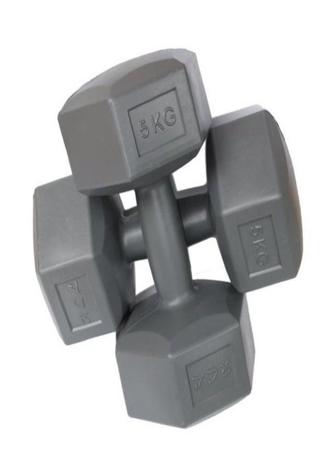 Exercise dumbells (5kg x2)