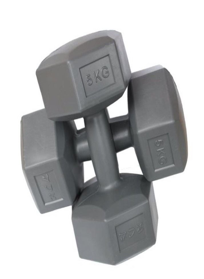 Exercise dumbells (5kg x2)