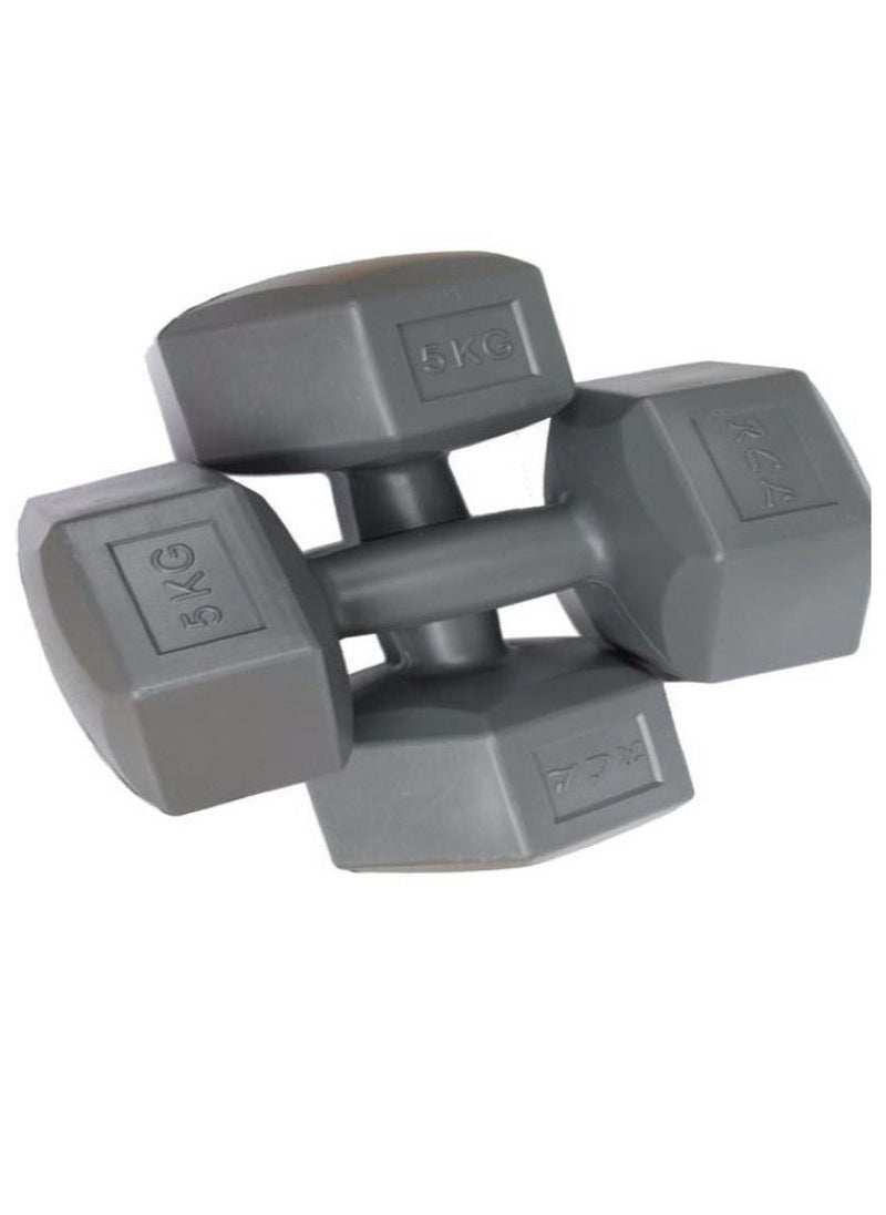 Exercise dumbells (5kg x2)