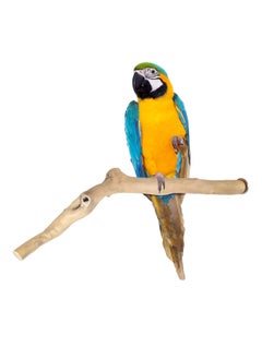 CHEWY BEAK wooden bird perch for large parrots  - Image 1