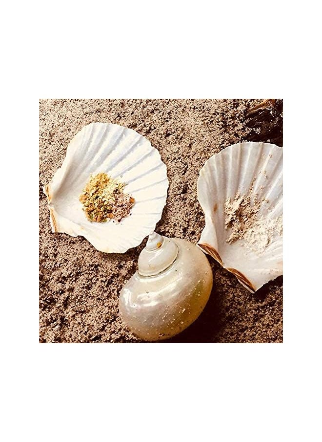 The Bros Scallop Shells for Serving Food, 6PCS Baking Shells Large White Natural Seashell from Sea Beach for DIY Craft Mermaid Beach Wedding Home Decoration (10-13cm)  - Image 3