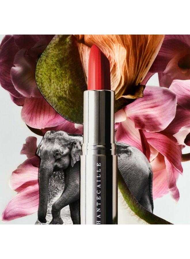 Chantecaille Lip Crème banyan tree 3g - Image 3