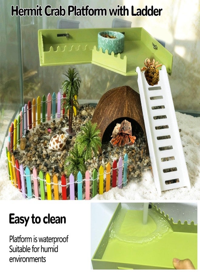 هامليدي منصة لسرطان الناسك مع سلم وألعاب تسلق، رف جداري لتسلق سرطان الناسك، موطن للزواحف، ديكور حوض الزواحف، ملحقات حوض الزواحف، أبو بريص النمر، الضفادع - Image 2