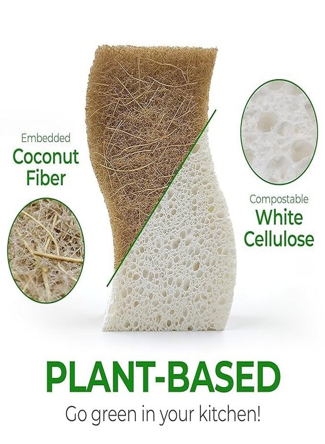 Kaidaa Natural Kitchen Sponges | 100% Coconut Coir Scrubber Sponge for Dishwashing | Eco Friendly, Non Toxic & Biodegradable Cleaning Sponges for Kitchen | Long-Lasting Dish Scrub Pads (4) - Image 2