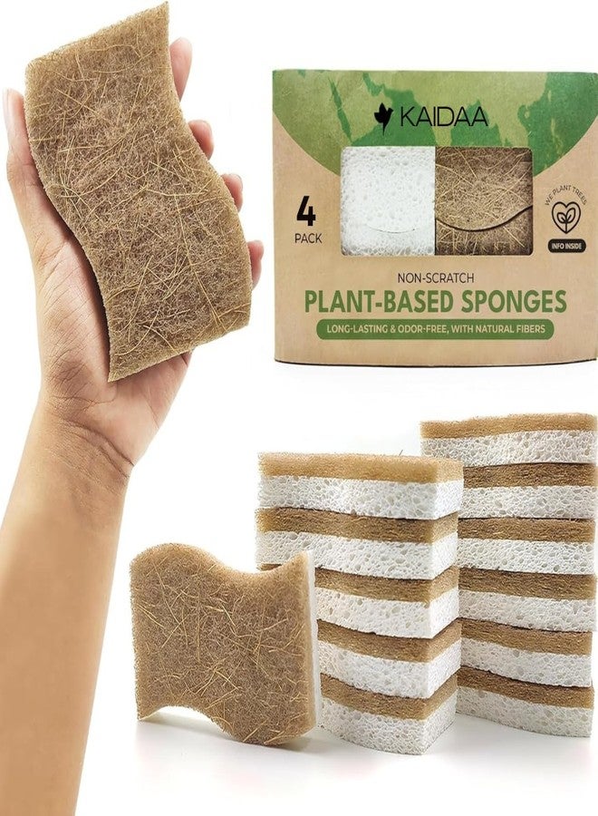 Kaidaa Natural Kitchen Sponges | 100% Coconut Coir Scrubber Sponge for Dishwashing | Eco Friendly, Non Toxic & Biodegradable Cleaning Sponges for Kitchen | Long-Lasting Dish Scrub Pads (4) - Image 1