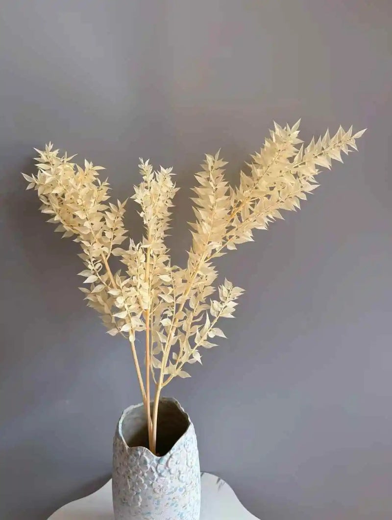 Bluejw Dried Ruscus Leaves Bouquet - Natural Dried Flowers Arrangement for Wedding, Mother's Day, Christmas Decor, Home & Party Decorations, Dried Plants Included - Image 1