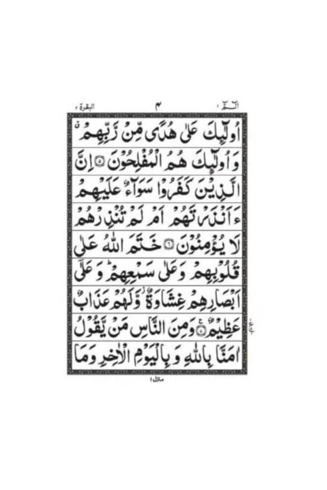 Tajweed 30 parts 100C Quran consisting of 30 paragraphs in Urdu script, large size plain paper 17 * 24 cm - Image 4
