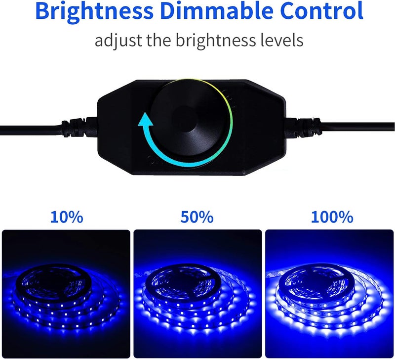 Marreal 12 Volt 20ft Blue led Strip Lights, Non-Waterproof 360 LEDs Blue led Lights for Bedroom, Shops, Christmas, Halloween. - Image 4