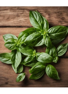 Generic Genovese basil seeds 