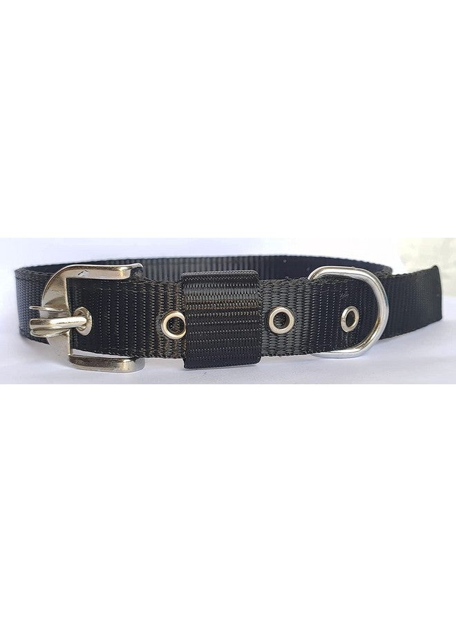 Generic Dog Belt Combo Of Dog Collar With Dog Chain Specially For Medium & Small Dogs (3/4 Inch Under Weight 10-25 Kg, Color Black) - Image 5