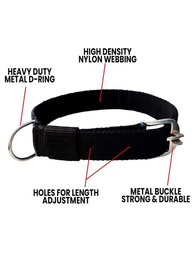 Generic Dog Belt Combo Of Dog Collar With Dog Chain Specially For Medium & Small Dogs (3/4 Inch Under Weight 10-25 Kg, Color Black) - Image 2