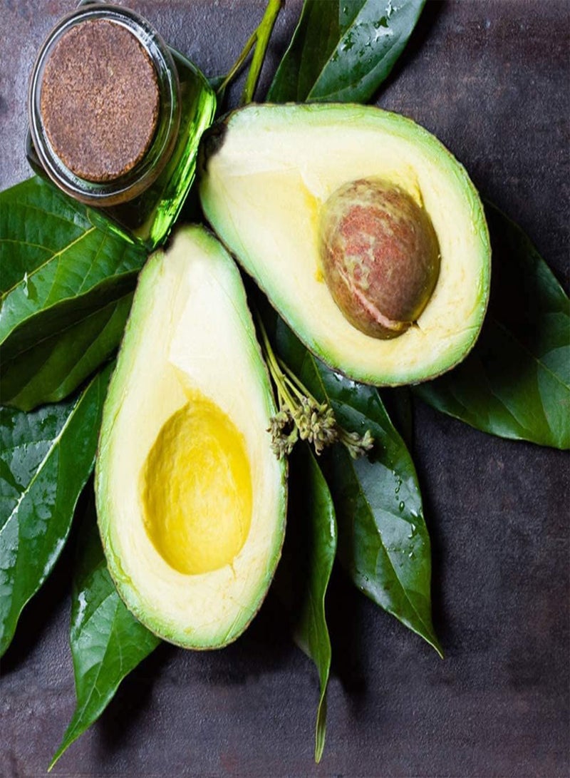 جي جوت 5 قطع بذور الأفوكادو أشجار الفاكهة مجموعة متنوعة من مجموعات الفواكه الخضراء للزراعة في الحديقة سهلة الزراعة والعناية مناسبة للمبتدئين - Image 1