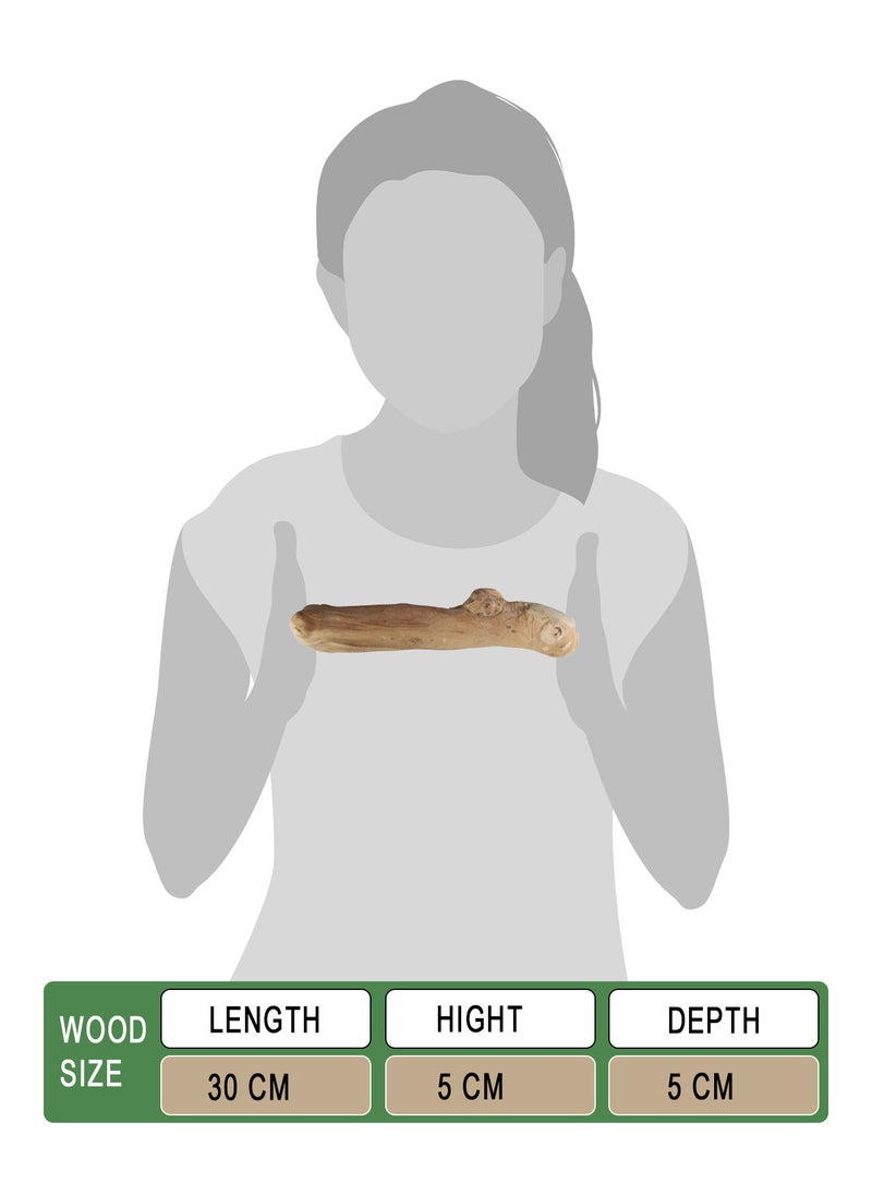 CHEWY BONE Large Dog Chew Wooden Stick Organic Indonesian Java wood for aggressive chewers For teething and Interactive play  - Image 2