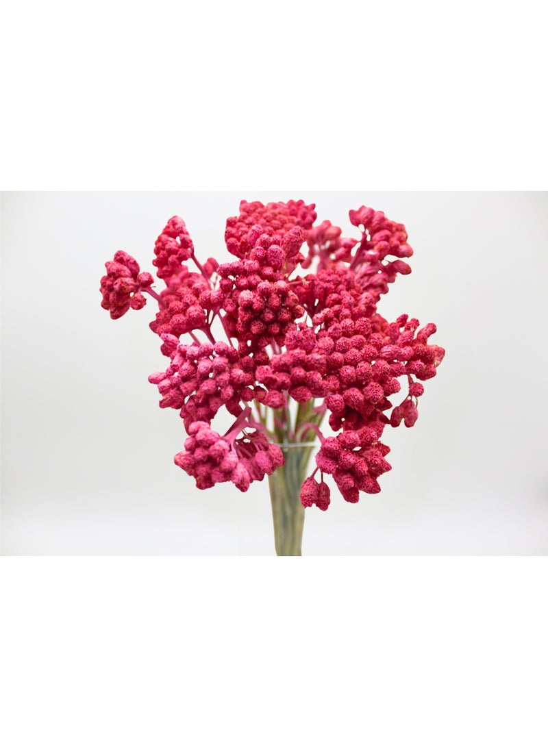 FANCY FLOWERS FANCY Premium Dried Lonas Flowers - Long Lasting Yellow or Painted Decorative Stems (Highlights quality and longevity) - Image 2