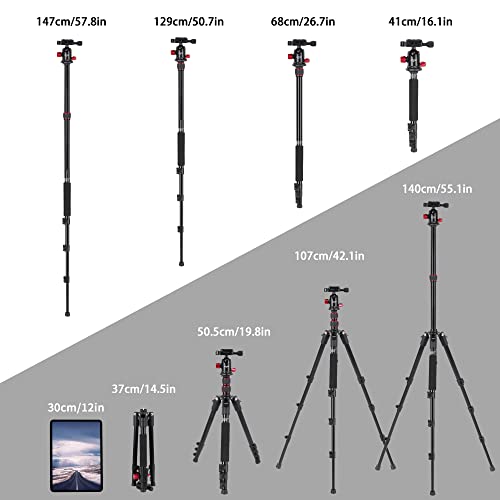 ZOMEI M5 Camera Tripod,Lightweight Travel Aluminum Tripod Monopod Compact Portable Photography Tripod Stand with 360 Degree Ball Head and Phone Clip for DSLR Cameras, Smartphone - Image 5