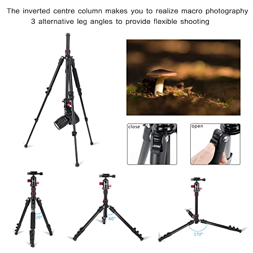 ZOMEI M5 Camera Tripod,Lightweight Travel Aluminum Tripod Monopod Compact Portable Photography Tripod Stand with 360 Degree Ball Head and Phone Clip for DSLR Cameras, Smartphone - Image 2