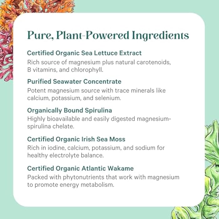 PURE SYNERGY Vital Ocean Magnesium | Organic Magnesium Supplement Capsules | Vegan, Seaweed-Based Complex with Spirulina, Chlorella, & Wakame | for Energy, Sleep, & Stress (60 Capsules) - Image 5
