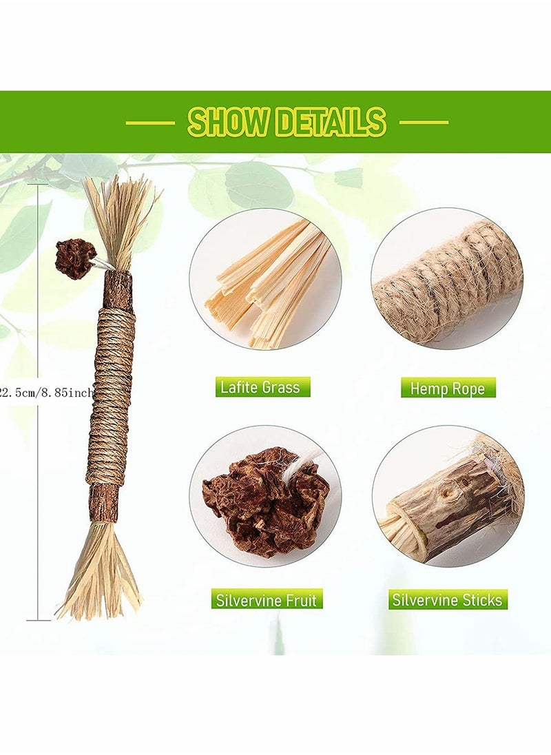 Generic - Interactive Catnip Stick for Indoor Cats, Funny Chew Toys for Kittens and Aggressive Chewers, Silvervine Dental Toy for Healthy Teeth - Image 1
