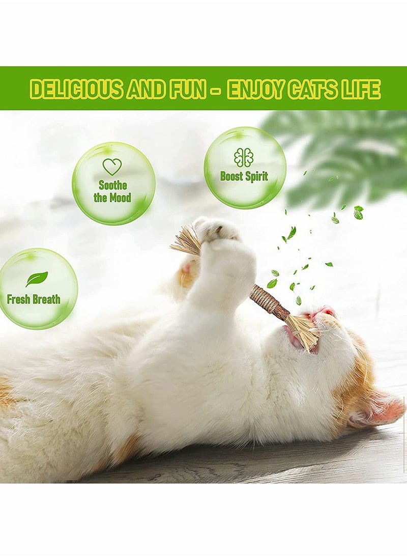Generic - Interactive Catnip Stick for Indoor Cats, Funny Chew Toys for Kittens and Aggressive Chewers, Silvervine Dental Toy for Healthy Teeth - Image 1