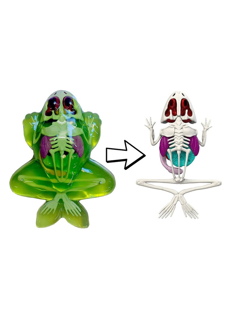 JOKER Dissect It Synthetic Frog Dissection Kit - Image 3