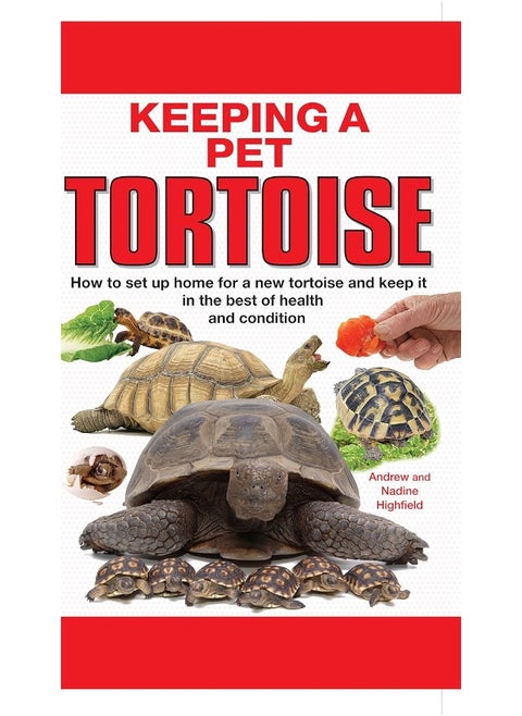 Keeping a Pet Tortoise