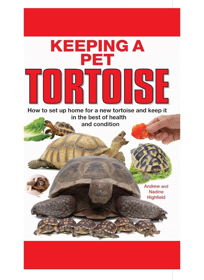 Keeping a Pet Tortoise