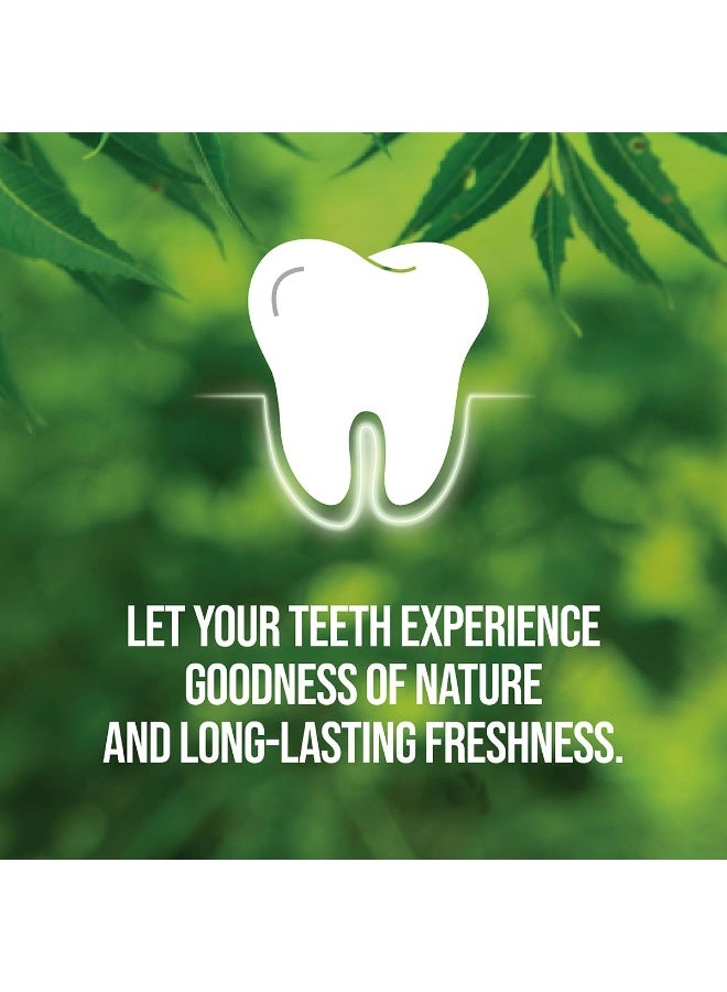 Neem Active Toothpaste 200 gram Pack - Image 4