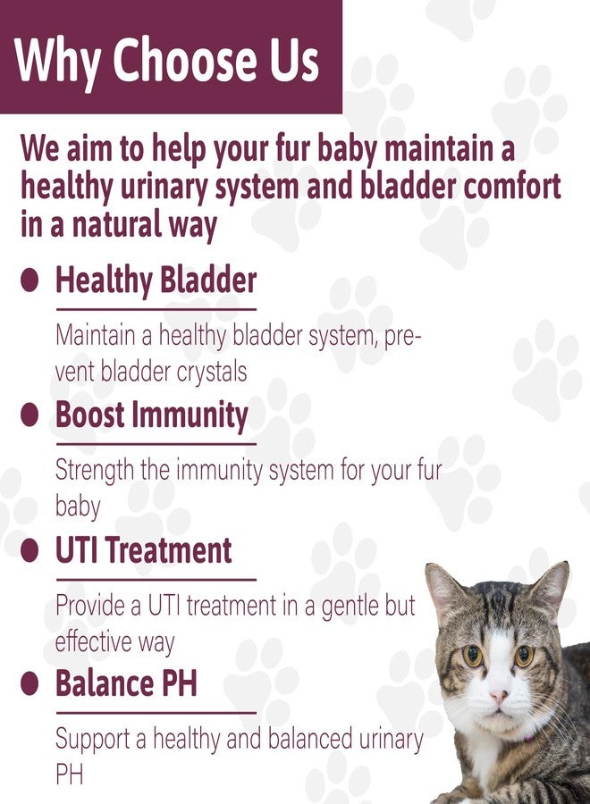 VetaSure Cat Bladder Crystals Treatment, Urinary Tract Support Cat UTI Treatment, Natural Herbal Formula Supplement for Dogs, Homeopathy Powder Formula, 100g - Image 2