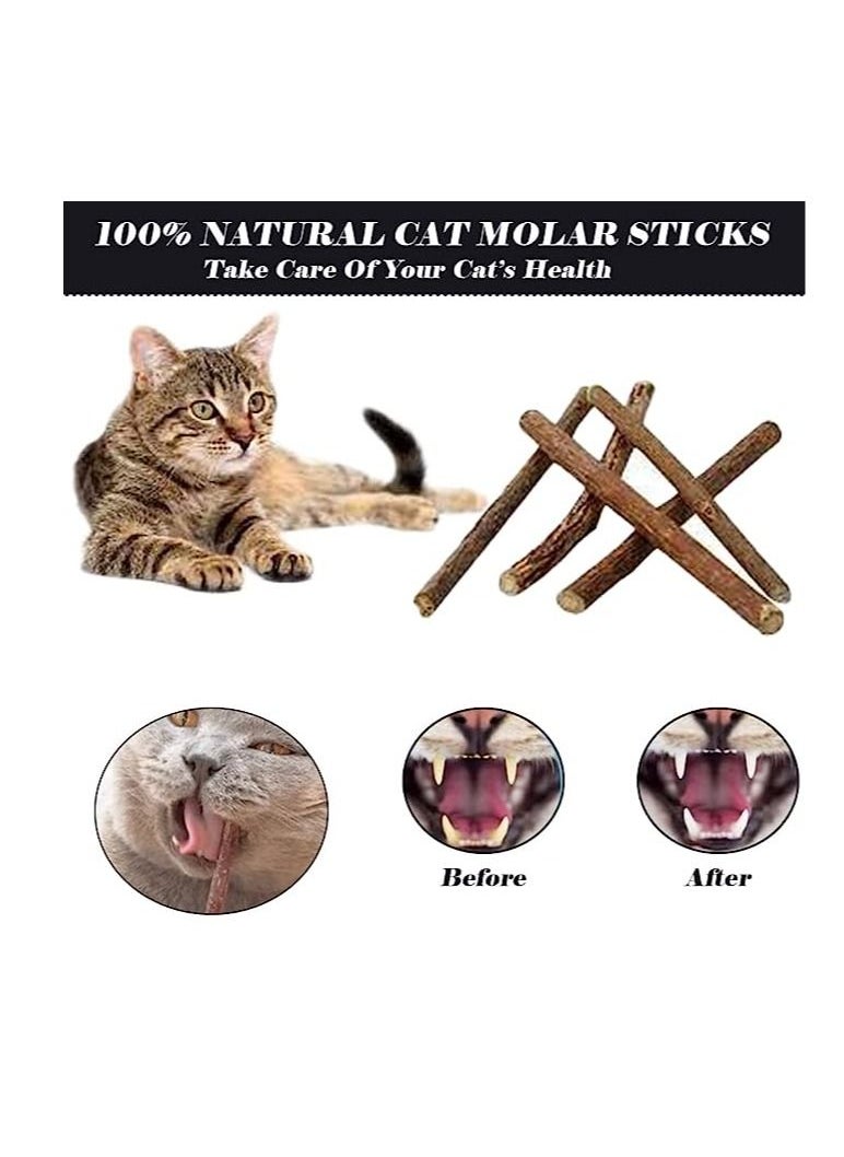 Generic - 28 Pcs Cat Toys Interactive Accessories - Cat Accessories for Indoor Cats, Kitten Toys, Cat Tunnel And Tent, Kitten Toys for Biting, Cat Toys for Kittens, Cat Toy Fish for Cat Lovers… - Image 1
